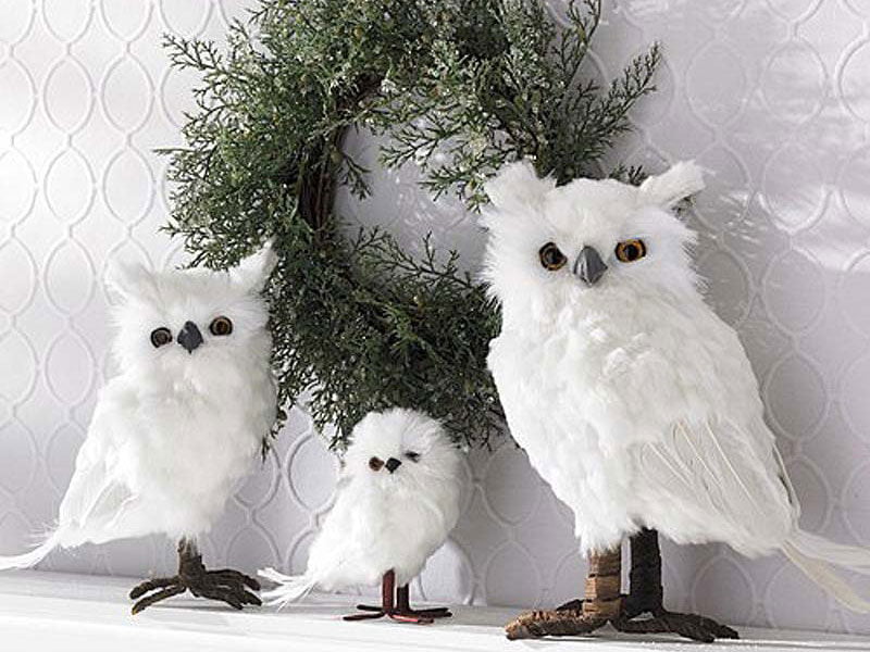 91kk-white-feather-owls