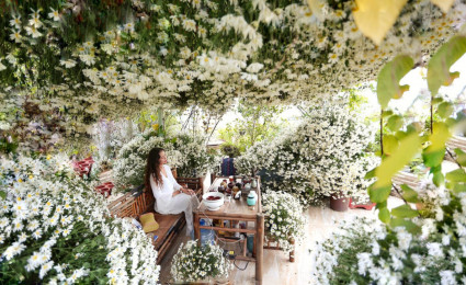 Vườn hoa “Siêu to khổng lồ” trên sân thượng của nữ đại gia Hà Nội