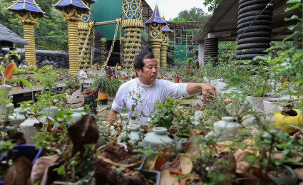 Bộ sưu tập hơn 5.600 bonsai ‘tí hon’ ai xem cũng phải mê